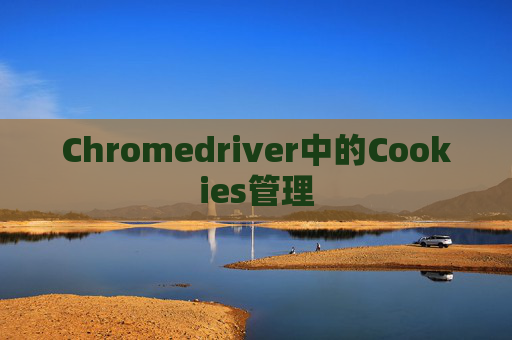 Chromedriver中的Cookies管理